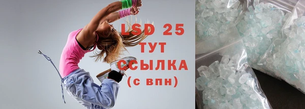 спиды Каменногорск