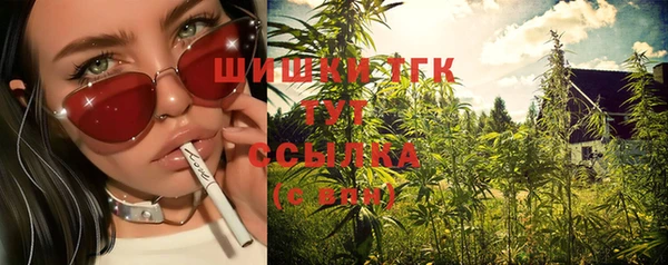 марки lsd Инта