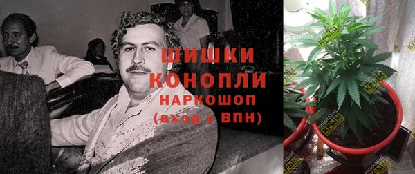 дживик Иннополис