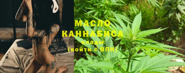 гашик Карпинск