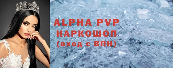 спиды Каменногорск