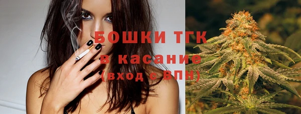 спиды Каменногорск