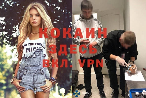 стаф Инсар