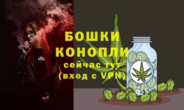 спиды Каменногорск