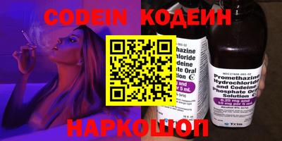 индика Можга