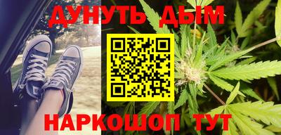 индика Можга
