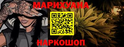 индика Можга