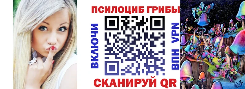 мега рабочий сайт  Кореновск  Галлюциногенные грибы Psilocybe 