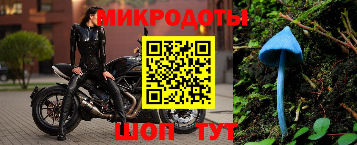 Галлюциногенные грибы мицелий  Вход с VPN  Кореновск 